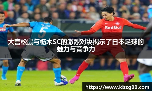 3377体育