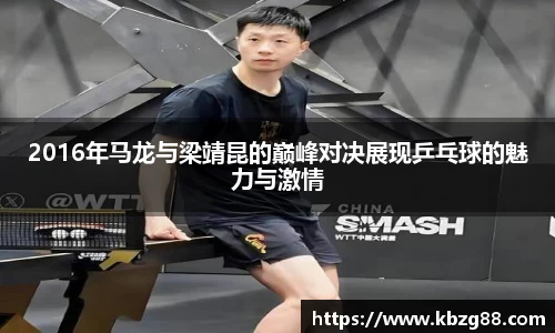 3377体育
