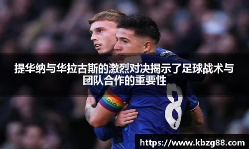 3377体育官网